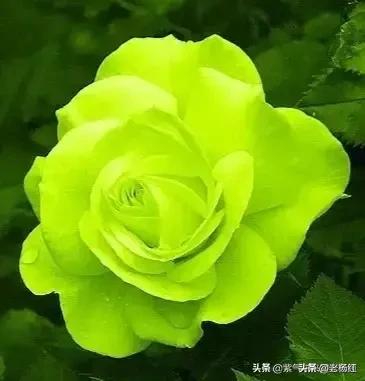 在酒店可以做婚庆吗女生，在酒店可以做婚庆吗女生可以做吗