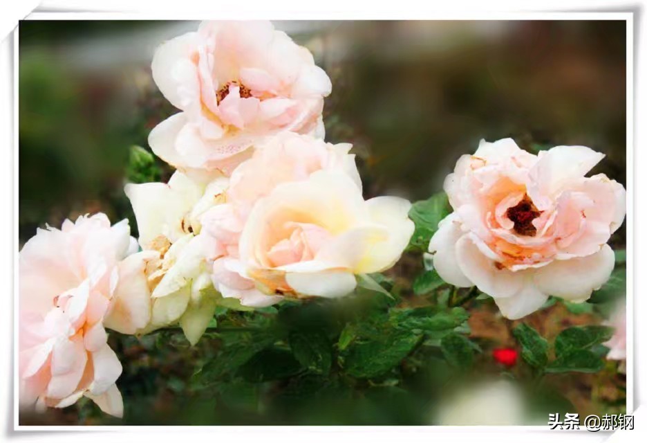 智能图像创作中心网站官网,请问大家写头条都在哪里找的图片呀?