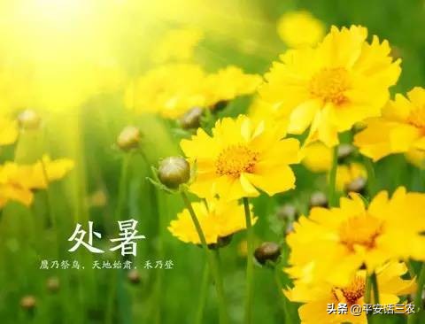 今天处暑