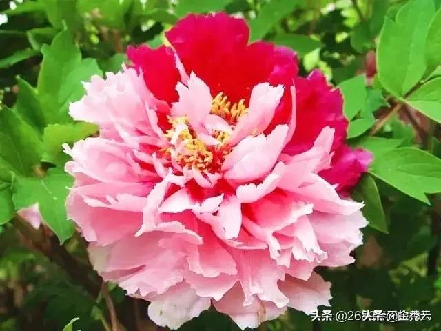 善于隐藏的人很可怕?:隐藏的人 善于隐藏的人很可怕?:隐藏的人