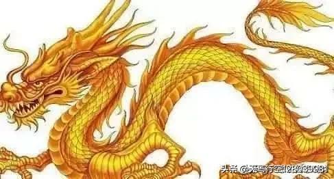海外生活学习和工作，海外生活经历的好处