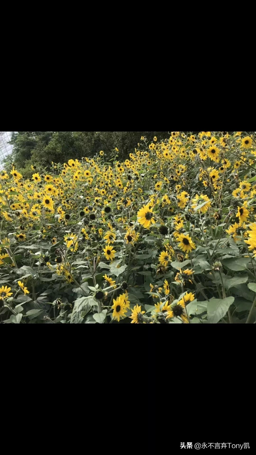 二手奔驰e200