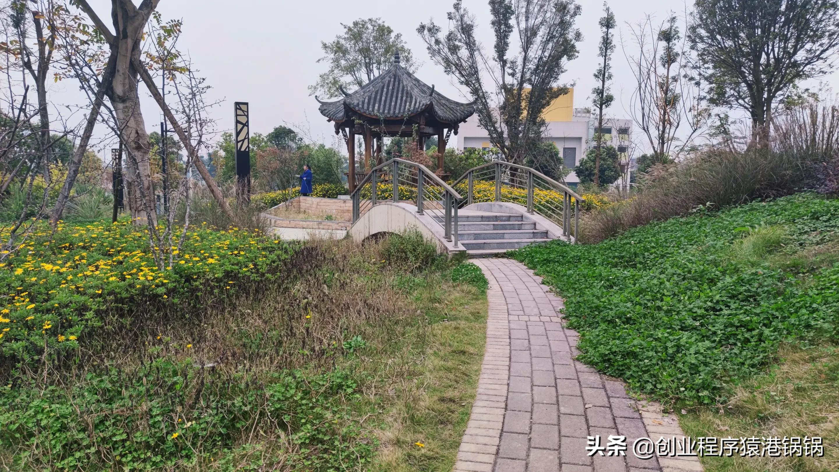 app 小程序开发技术