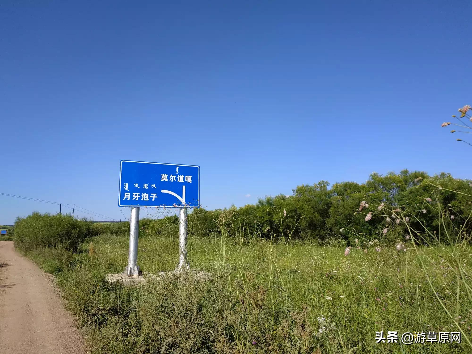 女生发树的图片意思？：草原照片