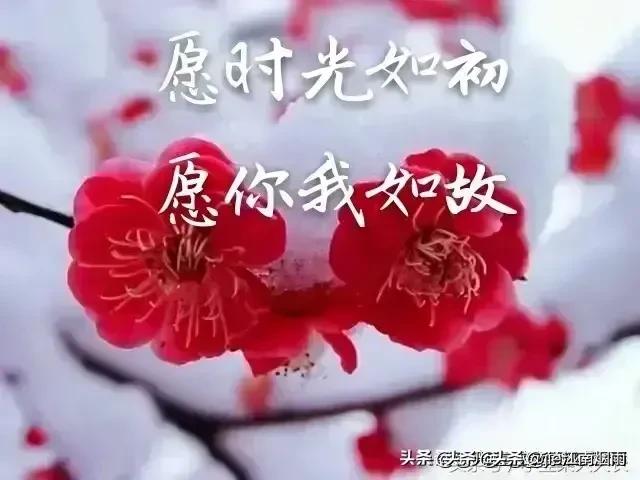 分享海外生活的主页怎么写，分享海外生活的主页怎么写文案