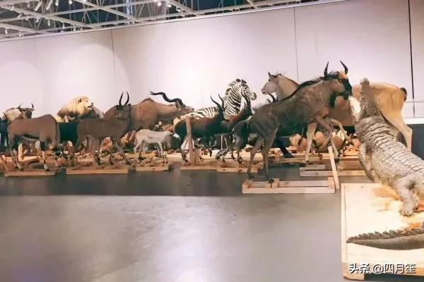 武汉市园博园属于什么区 武汉市园博园属于什么区