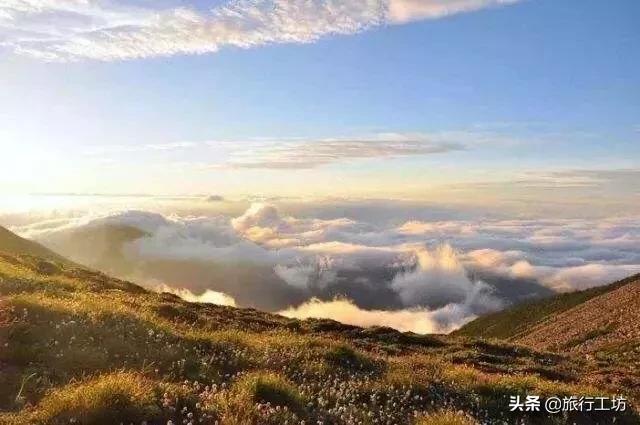 西安市秦岭山都有什么