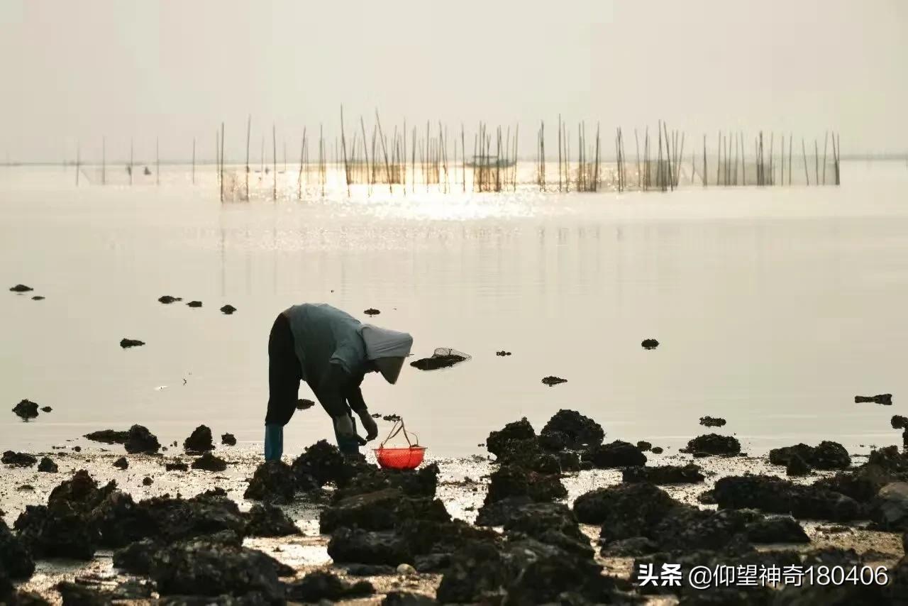 南宁市哪个区宜居