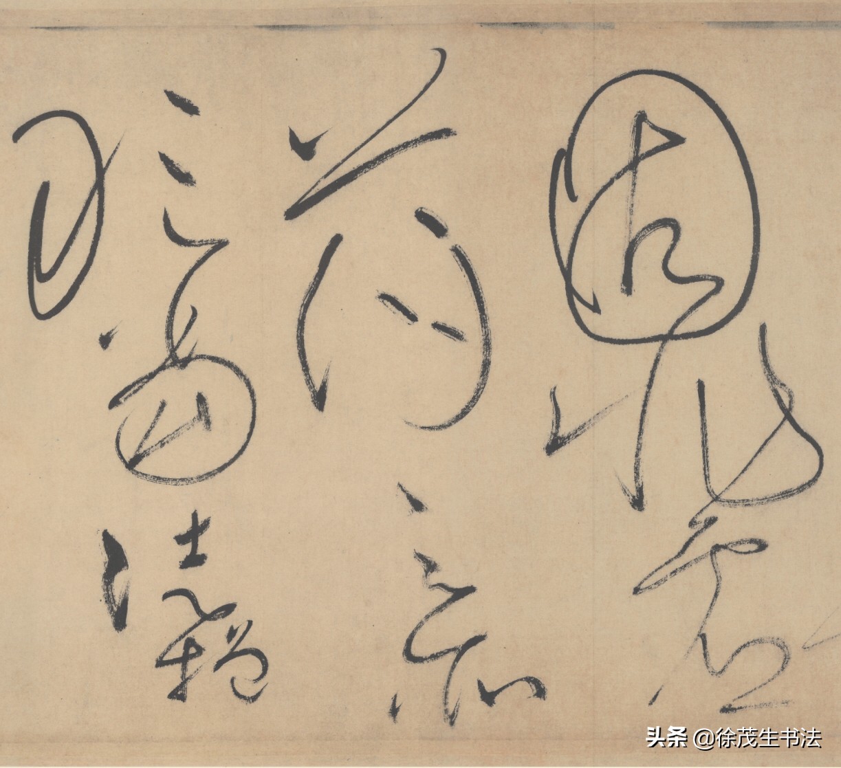 草书前先练什么字体好写