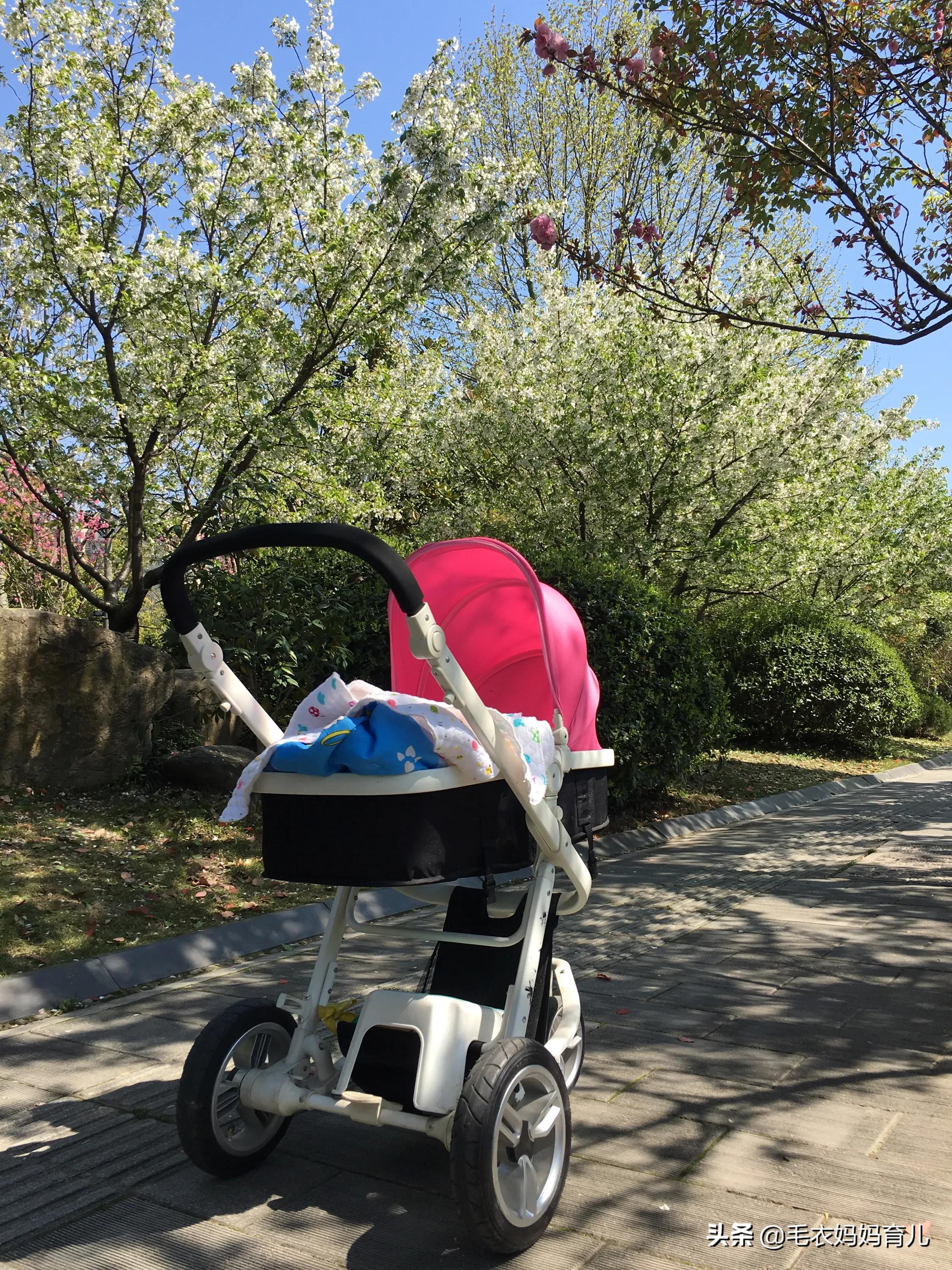 婴儿车要多少钱？婴儿车要多少钱？：童车