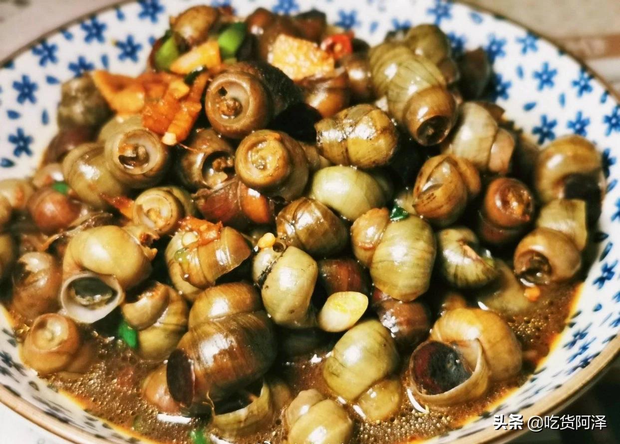 海外生活吃货视频大全下载，海外生活吃货视频大全下载安装