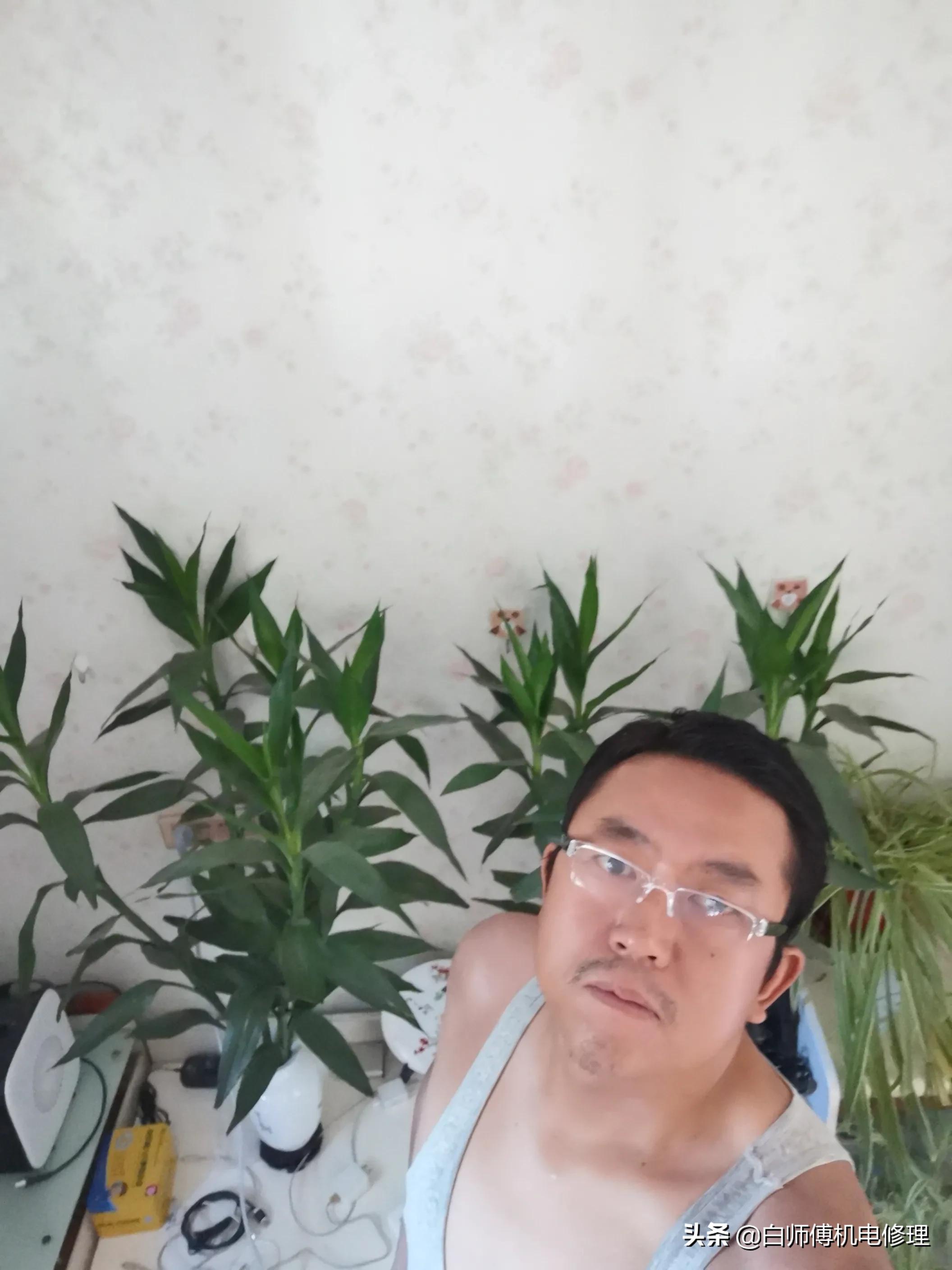 东北女海外生活视频网站，东北女海外生活视频网站大全