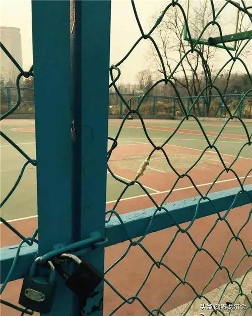 河南cba球队是哪个
