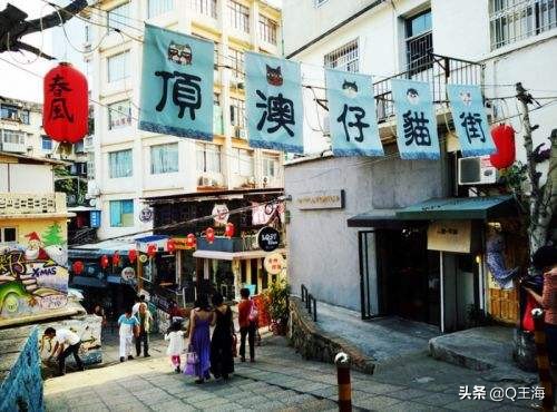 厦门顶澳仔猫街好玩吗？有猫吗？
