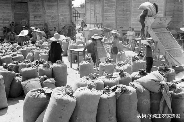 河南怎么样啦