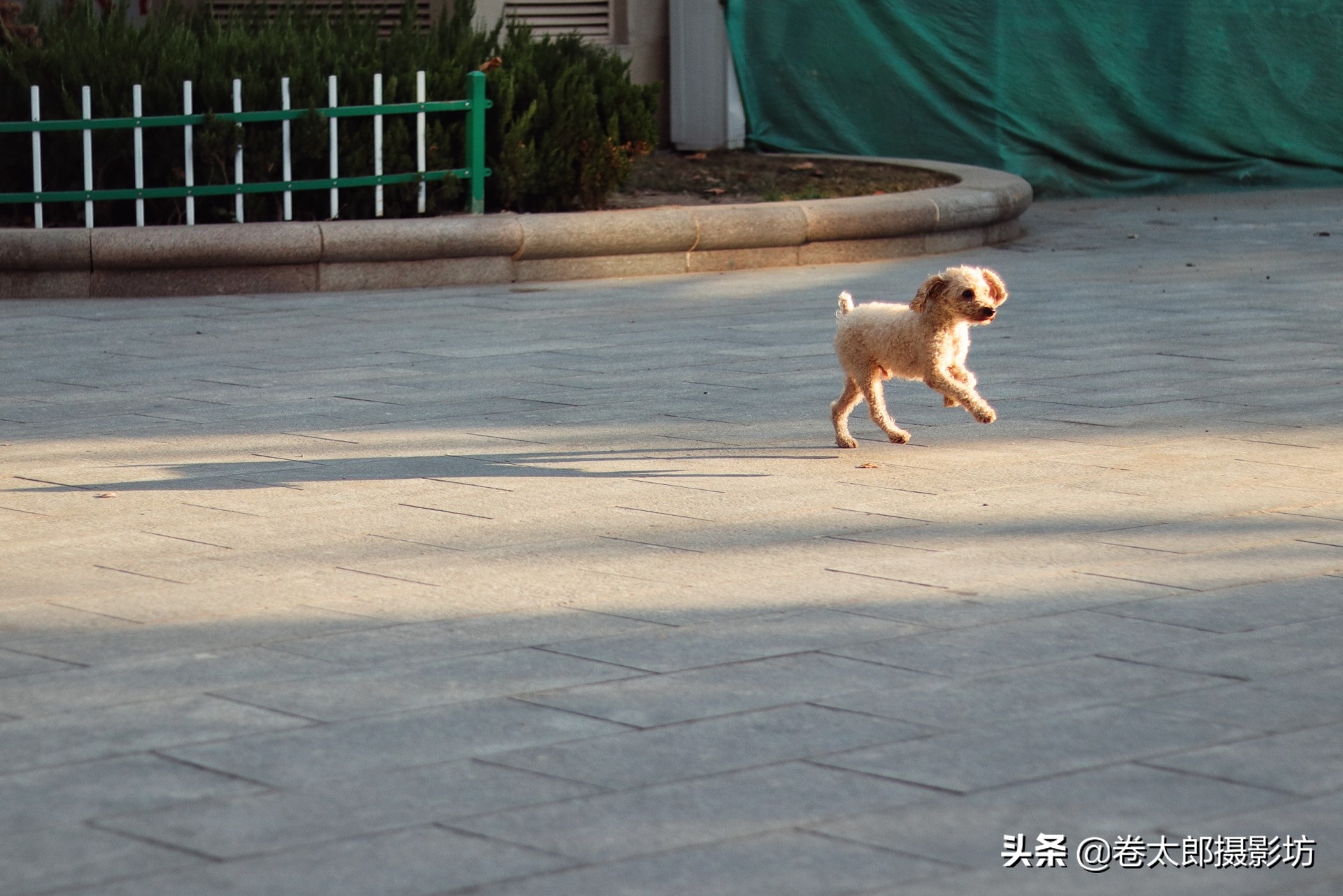 跑焦(跑焦是镜头问题还是相机问题?) 跑焦(跑焦是镜头问题还是相机问题?)