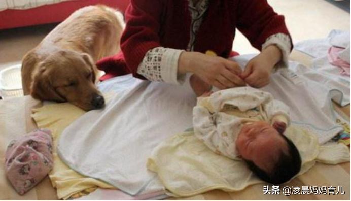 尿不湿尿不湿十大名牌排行榜 尿不湿尿不湿十大名牌排行榜