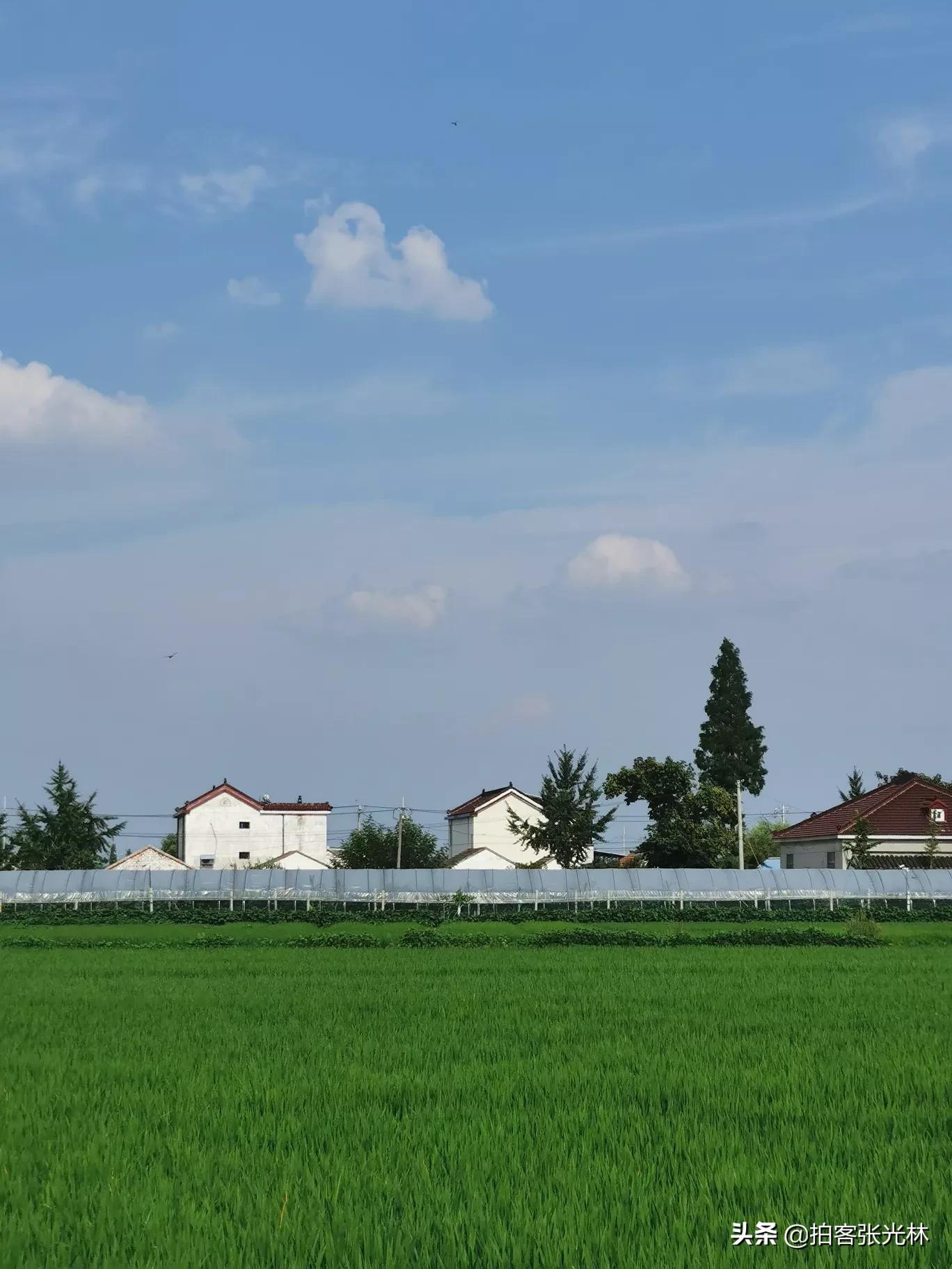 夏天的图片夏天的图片大自然风景