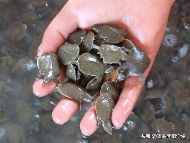 远方好物美妆
