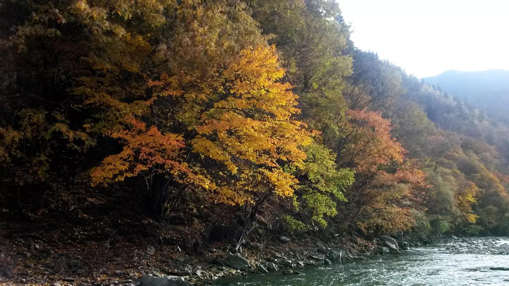 [秋天有什么]秋天的事物都有哪些？