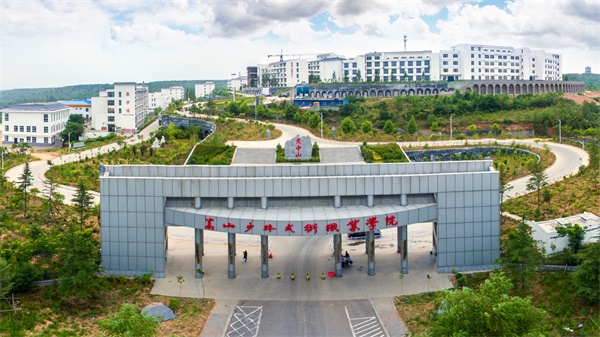 河南塔沟武校在全国武校属于什么水平？