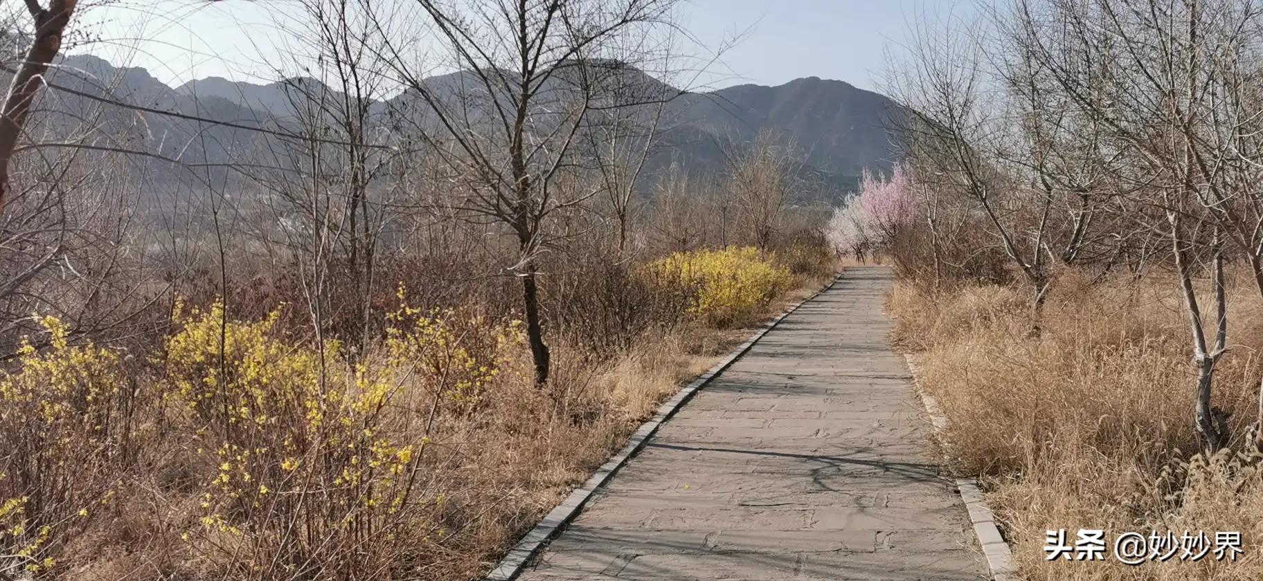 函授本科怎么学习专业知识，函授本科步骤