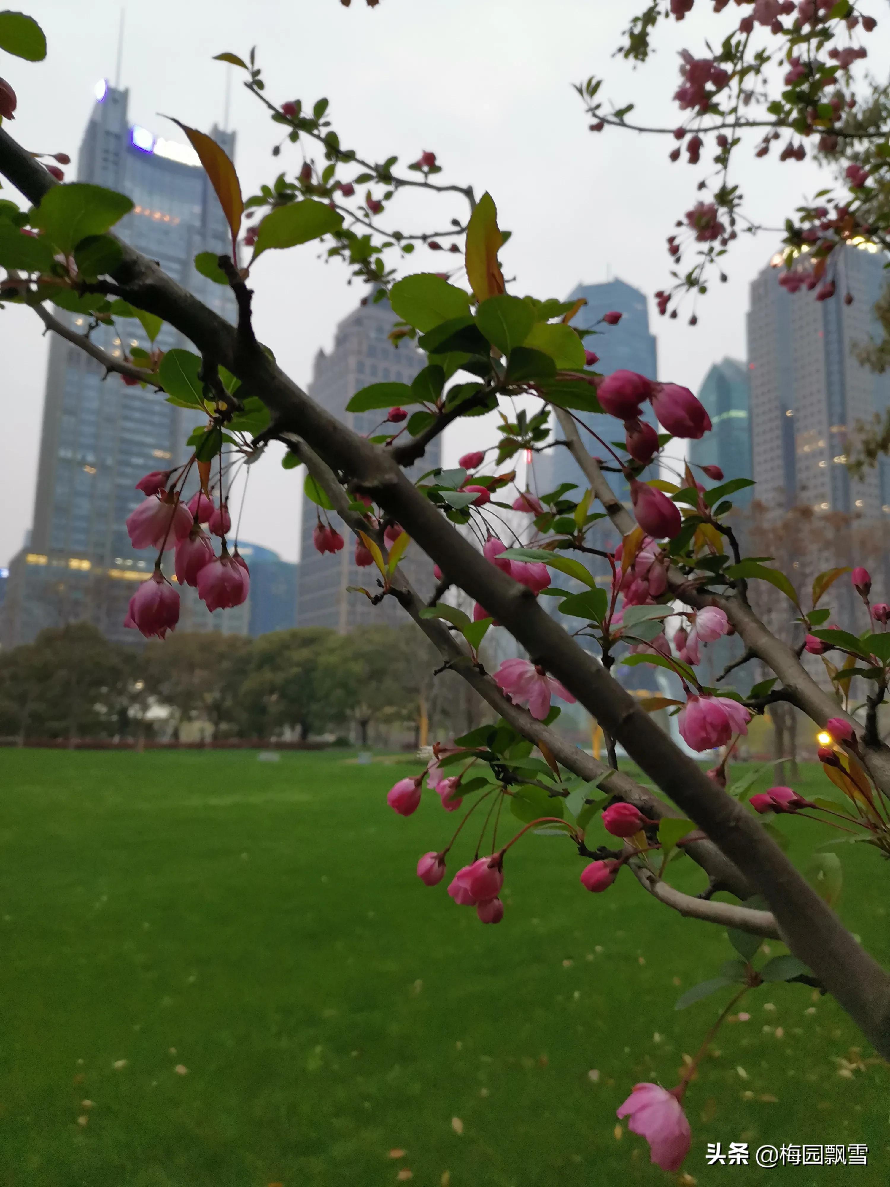 与“奈何桥”有关的凄美诗句？：凄美的诗句