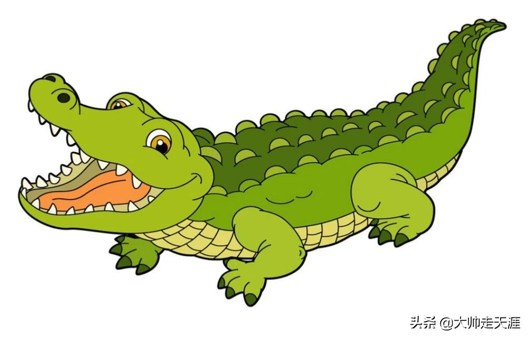 非凡的大多数怎么钓到鳄鱼仔？：钓到鳄鱼拎进派出所