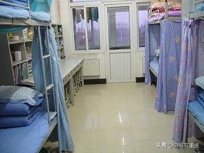 不得在学生宿舍内留宿什么异性饲养动物。？：禁止异性家长进宿舍 