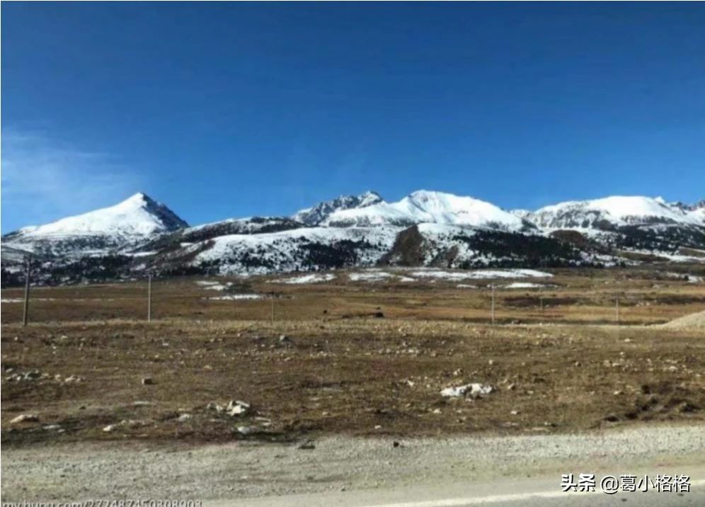 海外生活现状问题分析报告，海外生活现状问题分析报告怎么写