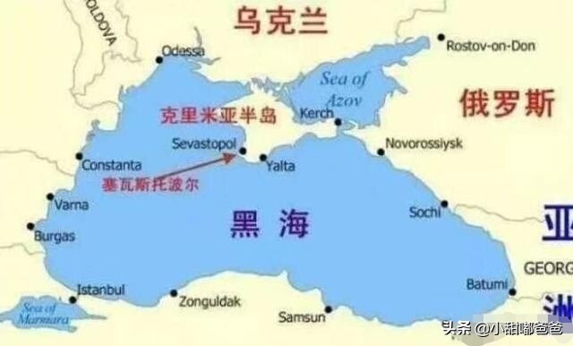普京将回应对俄免签