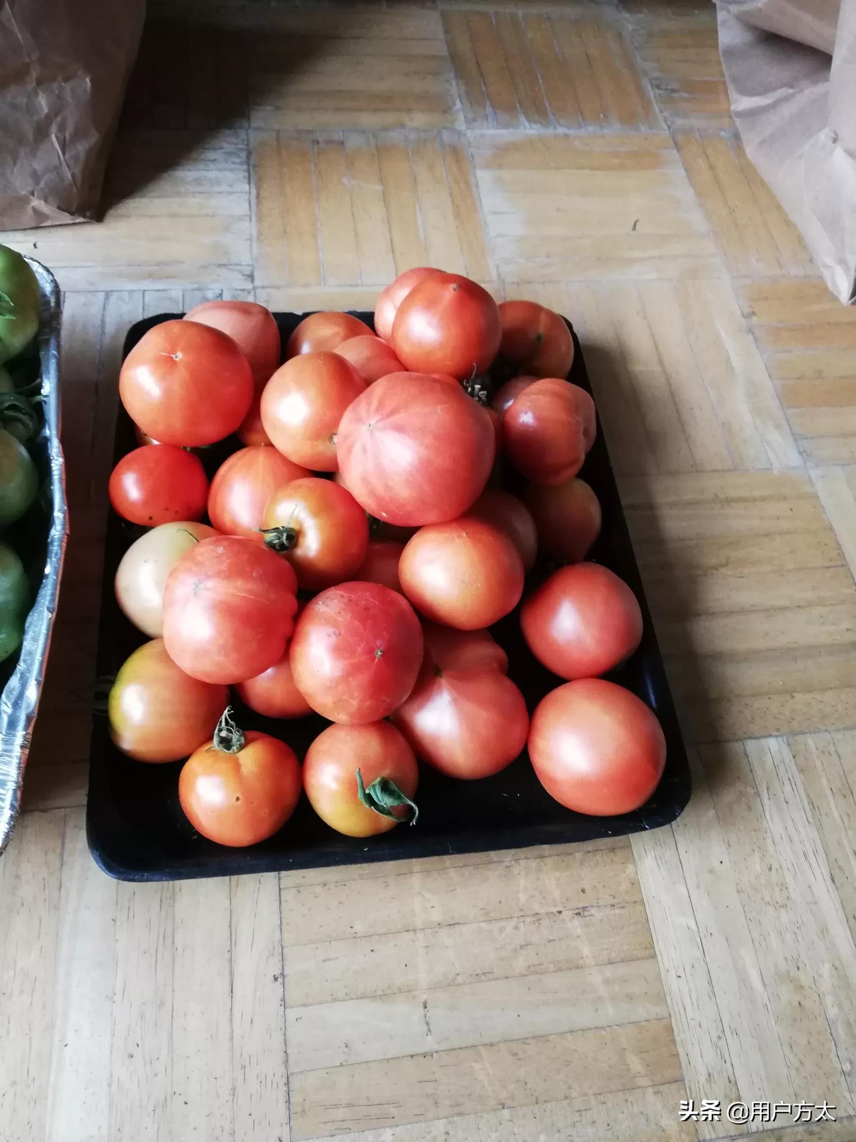 种菜海外生活视频大全，种菜海外生活视频大全集