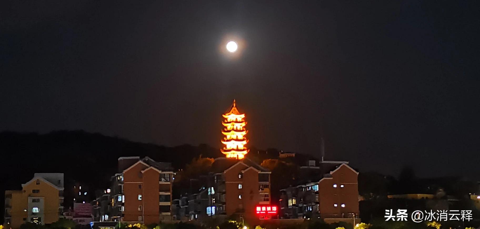 罐头瓶子海外生活，罐头瓶子视频
