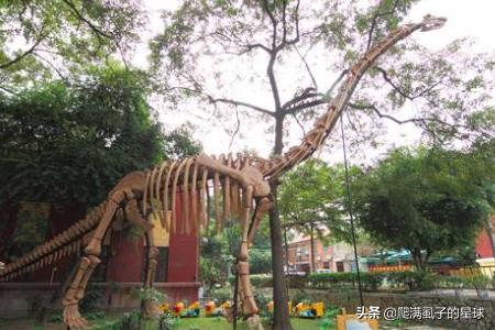 南宁去云南自驾游最佳路线及费用? 南宁去云南自驾游最佳路线及费用?