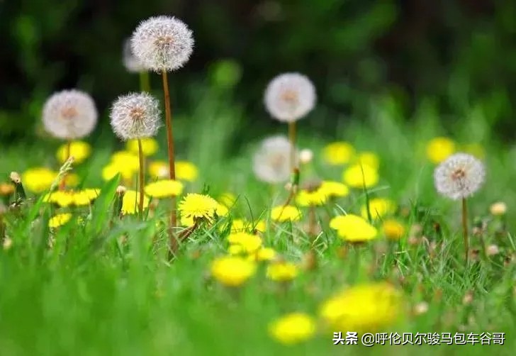 跑焦(跑焦是镜头问题还是相机问题?) 跑焦(跑焦是镜头问题还是相机问题?)