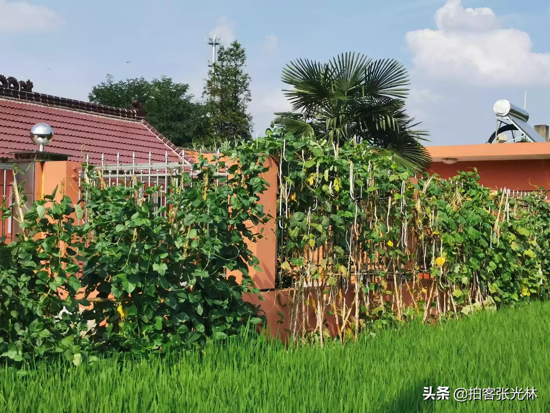 夏天的图片夏天的图片大自然风景 夏天的图片夏天的图片大自然风景