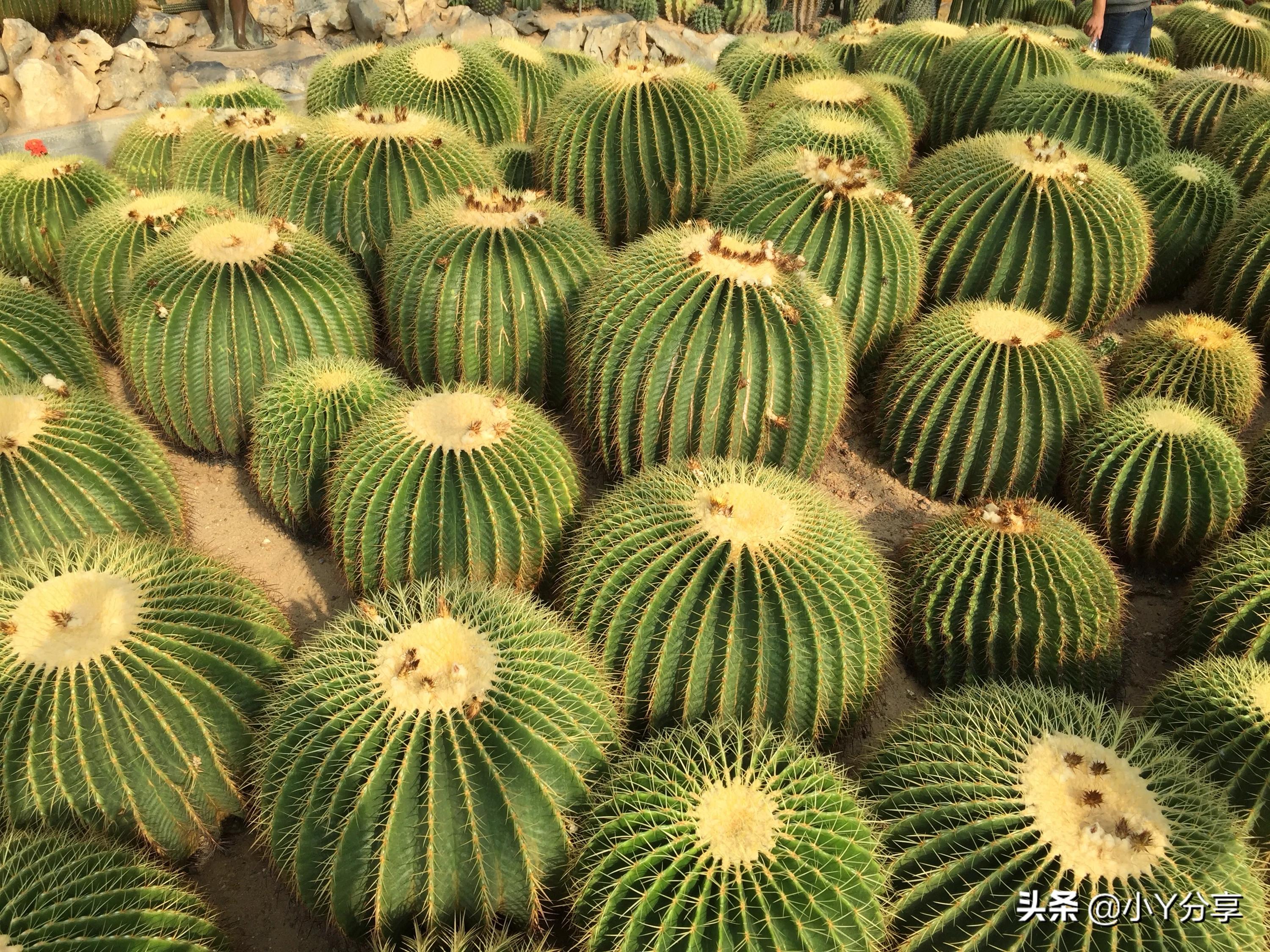 山西省热门网络营销运营公司,山西文旅营销策划方案?