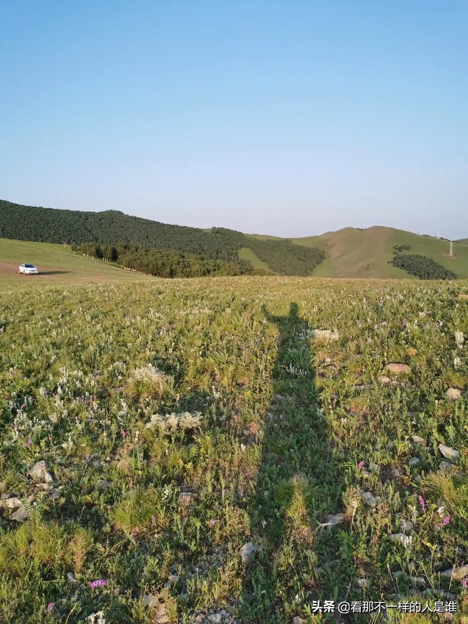 seo需要掌握的前端知识有哪些-前端seo搜索引擎优化