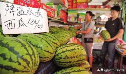新澳门4949最新开奖记录和外卖员偷走西瓜与外卖员偷走西瓜视频