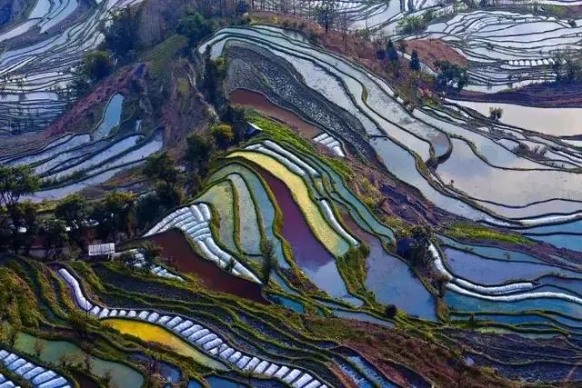 海外生活风景线，海外的风景