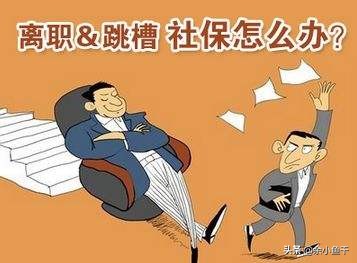辞职后如何自己缴纳社保，辞职后如何自己缴纳社保医保