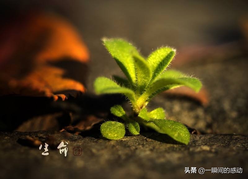 8月23日合肥市有什么比赛