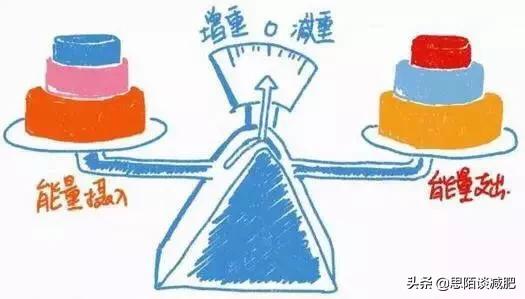 广州健身餐app开发