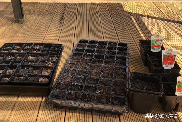 种菜海外生活视频大全，种菜海外生活视频大全集