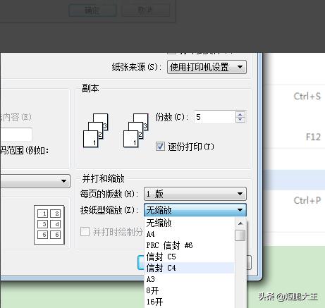 wps打印wps打印预览在哪