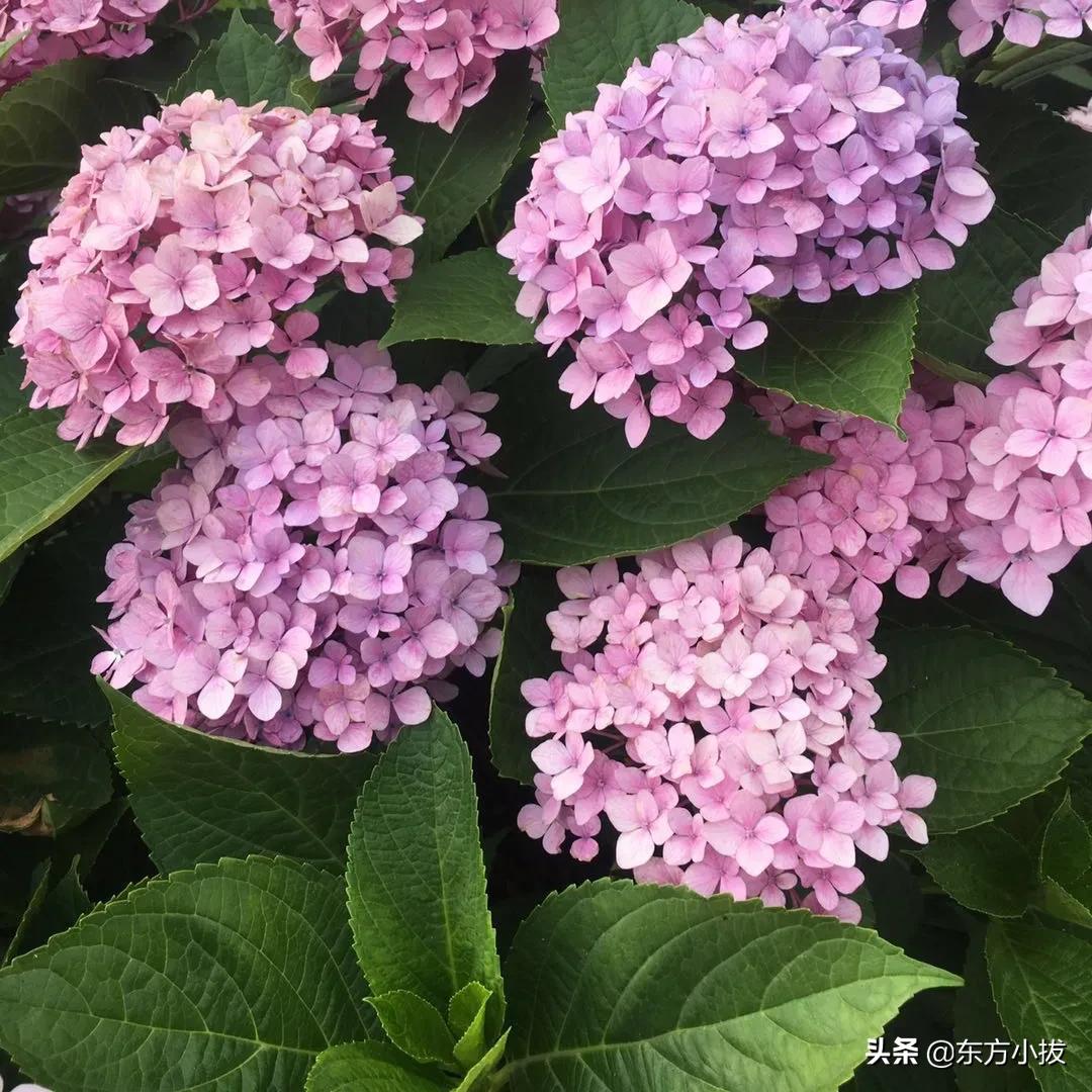 wifi如何按h键连接？：主动h