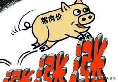 奔驰野马
