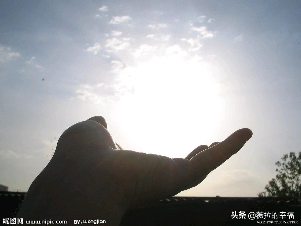 梦想的图片（关于一些追求梦想自由的漫画？）