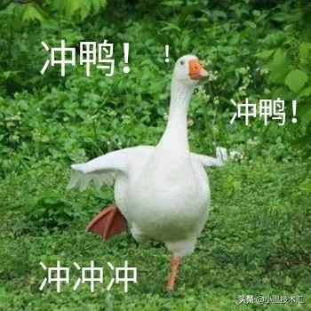 学电脑最好学哪方面的知识，学电脑最好学哪方面的知识呢