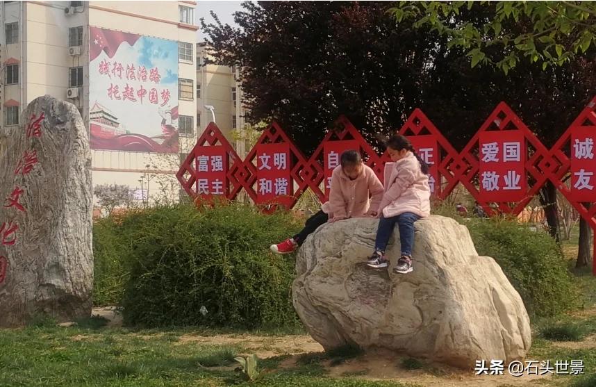 搜麻豆搜麻豆传媒免费高清日B视频